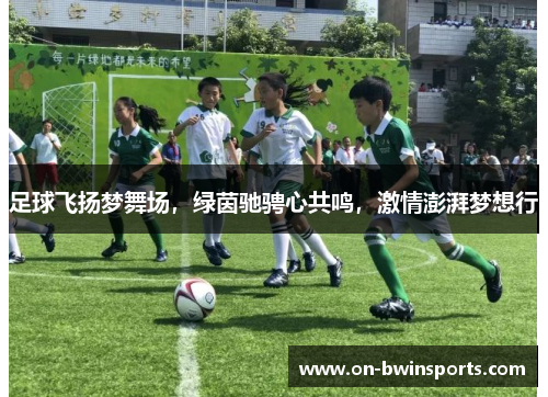 足球飞扬梦舞场，绿茵驰骋心共鸣，激情澎湃梦想行