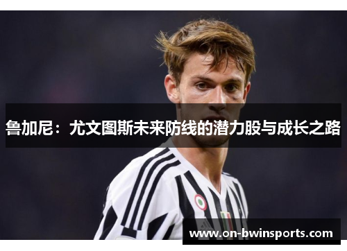 鲁加尼：尤文图斯未来防线的潜力股与成长之路