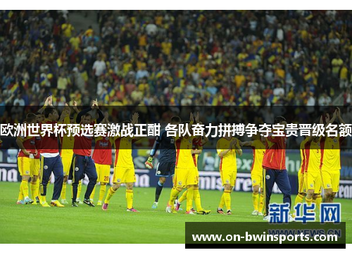 欧洲世界杯预选赛激战正酣 各队奋力拼搏争夺宝贵晋级名额