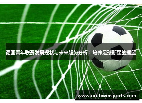 德国青年联赛发展现状与未来趋势分析：培养足球新星的摇篮