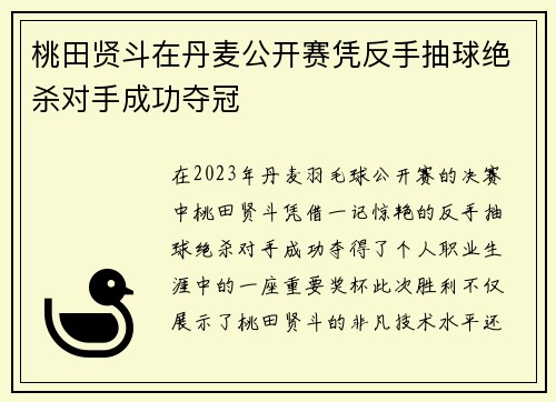 桃田贤斗在丹麦公开赛凭反手抽球绝杀对手成功夺冠