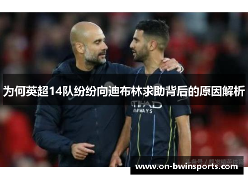 为何英超14队纷纷向迪布林求助背后的原因解析