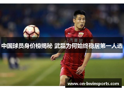 中国球员身价榜揭秘 武磊为何始终稳居第一人选