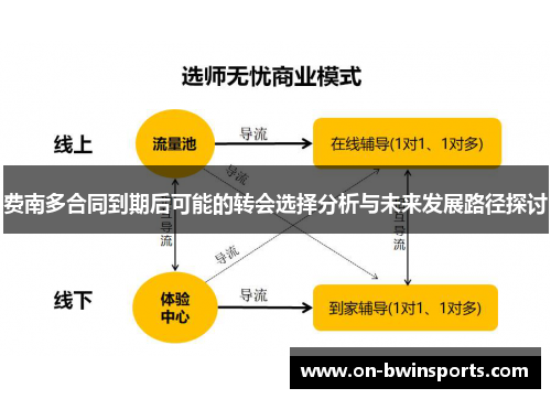 费南多合同到期后可能的转会选择分析与未来发展路径探讨