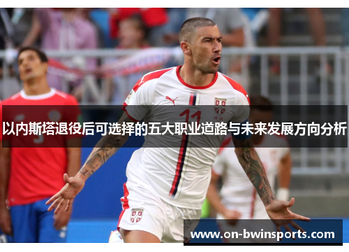 以内斯塔退役后可选择的五大职业道路与未来发展方向分析