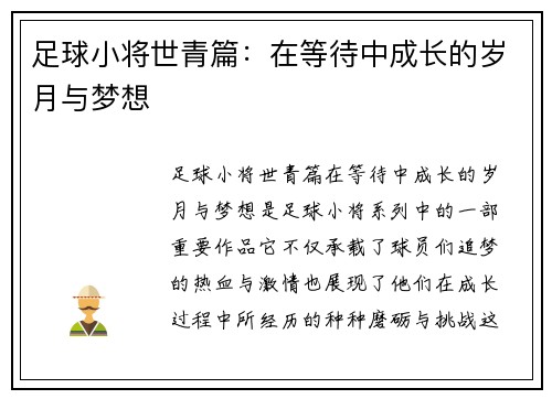 足球小将世青篇：在等待中成长的岁月与梦想